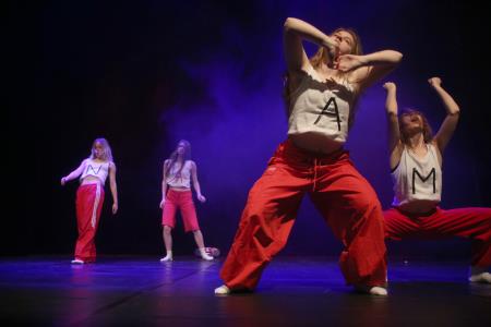 PLESNO POPOTOVANJE 23 FOTO LJUBO VUKELIČ